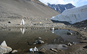 Processes controlling carbon cycling in Antarctic glacier surface ecosystems