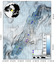 North Atlantic hotspot-ridge interaction near Jan Mayen Island