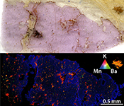 Evidence of sub-arc mantle oxidation by sulphur and carbon