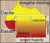 A magma mixing redox trap that moderates mass transfer of sulphur and metals