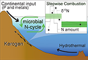 Microbial nitrogen cycle enhanced by continental input recorded in the Gunflint Formation