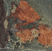 Geochemistry and metallogeny of Neoproterozoic pyrite in oxic and anoxic sediments