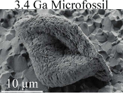 Chemical nature of the 3.4 Ga Strelley Pool microfossils