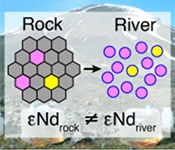 Decoupling of dissolved and bedrock neodymium isotopes during sedimentary cycling