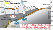 Redox transfer at subduction zones: insights from Fe isotopes in the Mariana forearc