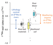 Unravelling the controls on the molybdenum isotope ratios of river waters
