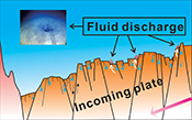 Fluid discharge linked to bending of the incoming plate at the Mariana subduction zone