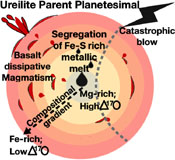 Ureilite meteorites provide a new model of early planetesimal formation and destruction