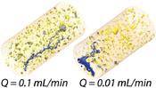 Contributions of visible and invisible pores to reactive transport in dolomite