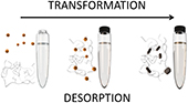 Fate of organic compounds during transformation of ferrihydrite in iron formations