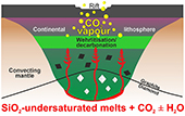 Wehrlites from continental mantle monitor the passage and degassing of carbonated melts
