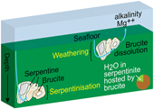 Brucite formation and dissolution in oceanic serpentinite