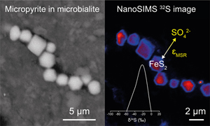 Early precipitated micropyrite in microbialites: A time capsule of microbial sulfur cycling