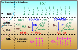 Enrichment mechanism of trace elements in pyrite under methane seepage