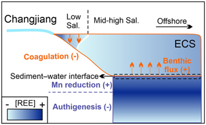 Dominance of benthic flux of REEs on continental shelves: implications for oceanic budgets