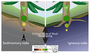 Global patterns of radiocarbon depletion in subsoil linked to rock-derived organic carbon