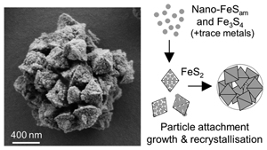 Inferred pyrite growth via the particle attachment pathway in the presence of trace metals