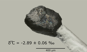Shock origin of the largest ureilitic microdiamond: structural observations and δ13C value
