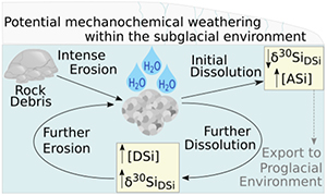 Physical weathering by glaciers enhances silicon mobilisation and isotopic fractionation